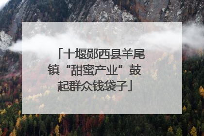 十堰郧西县羊尾镇“甜蜜产业”鼓起群众钱袋子